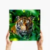 tiger in the shadows - big square in hands