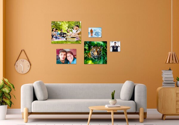 all five sizes in situ